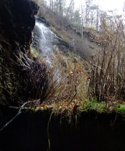 pinemtncascade