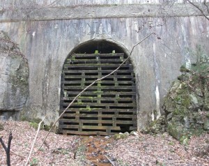 pinemtntnnlwestportal