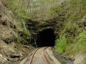 bearpeneastportal