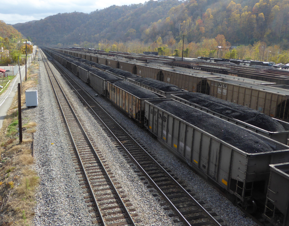 yardlookingsoutheast